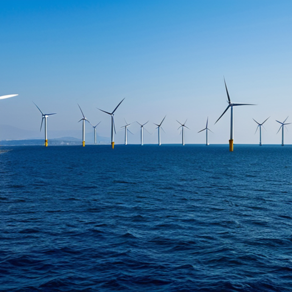 Offshore Wind Farm - Aegean Coast**

"A wide shot of an offshore wind farm off the coast of İzmir, Turkey. Modern wind turbines stand tall against a clear blue sky and calm Aegean Sea. Several fishing boats are visible in the distance, showcasing the coexistence of energy production and traditional livelihoods. Fully clothed fishermen are working. The image should convey clean energy, sustainability, and Turkish ingenuity. safe for work, appropriate content, fully clothed, professional, perfect anatomy, natural proportions, high quality, daytime lighting, realistic."

**